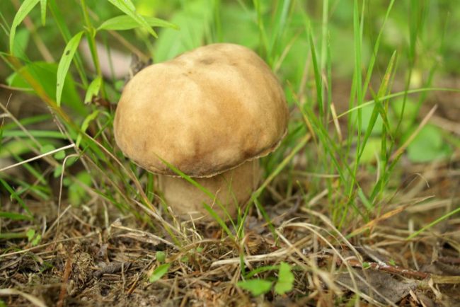 713b5b2a-3c90-4a24-8c15-97890068e6fa