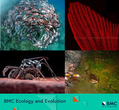 7150e5ab1fdb86843722a13b7d7dfddc